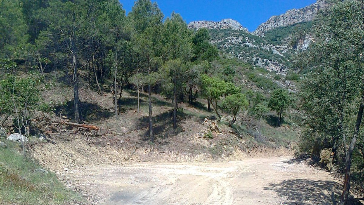 Barranc del Colobor al Montsec d’Àger, on s’ha millorat l’accés per a bombers.