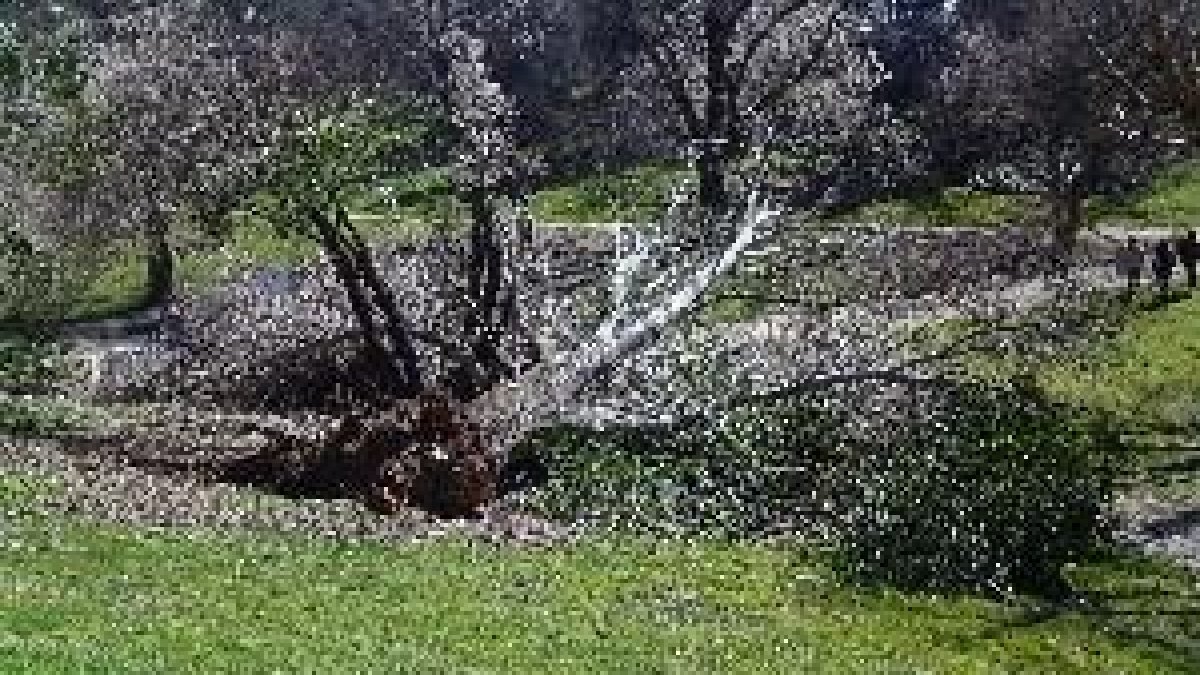 Un científico alerta que cada vez habrá fenómenos atmosféricos más violentos