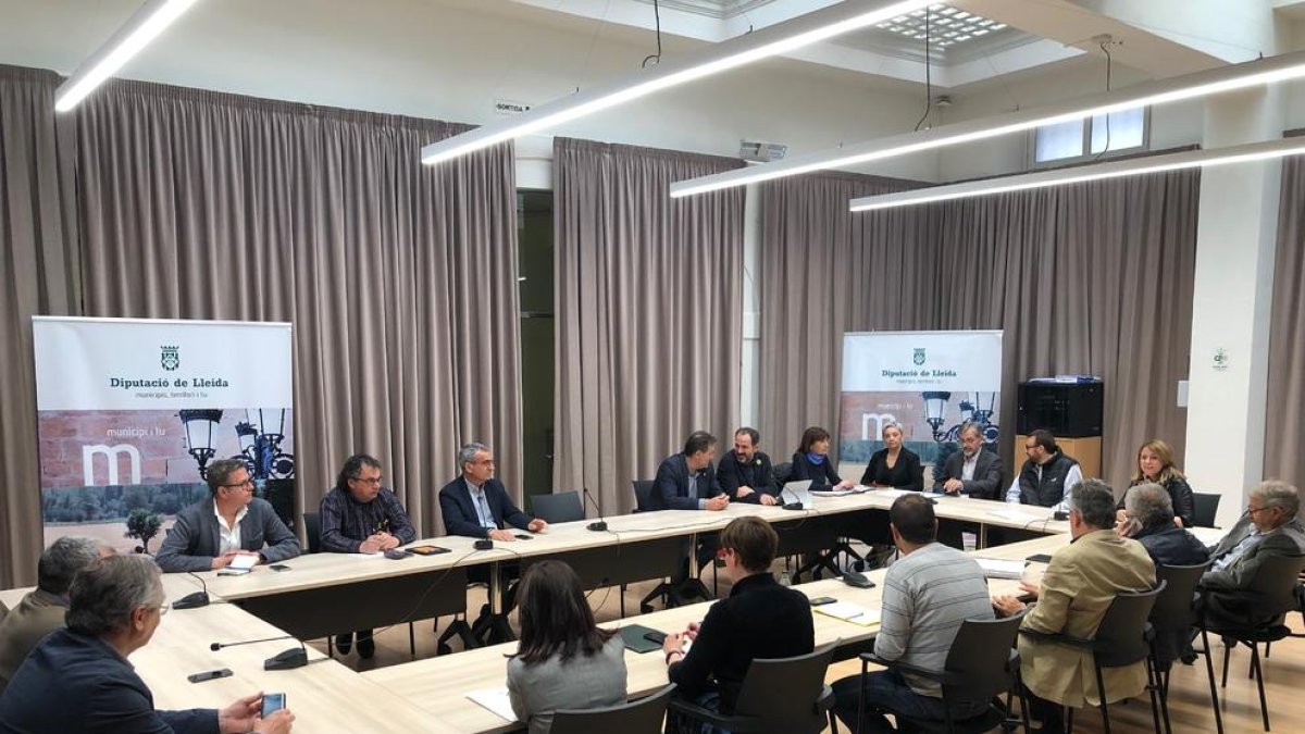 La comissió informativa del ‘cas Boreas’ es va constituir dilluns.