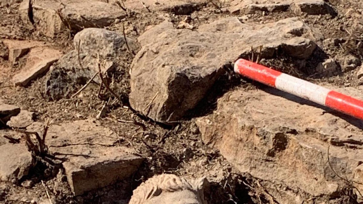 Restes d’un cap de lleó decoratiu d’una font.