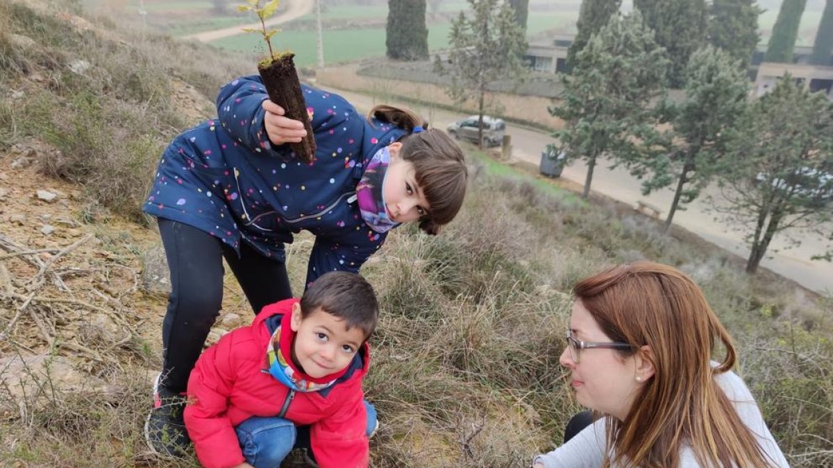 Planten unes 300 alzines en la Noguera
