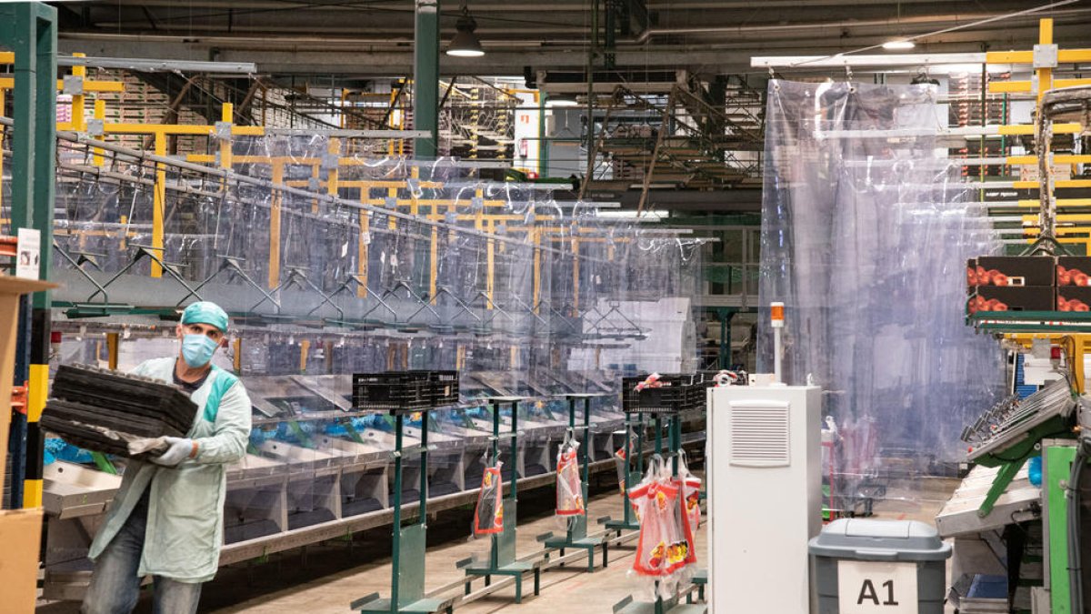 El grup ha instal.lat mecanismes de separació per garantir la distancia i seguretat, assenyala Teresa Teixiné