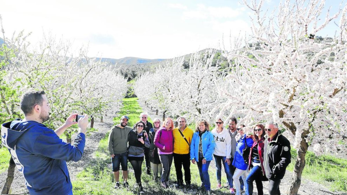 Un grup de turistes de Manresa, Barcelona i la Franja van visitar ahir els camps d’ametllers florits de la Granja.