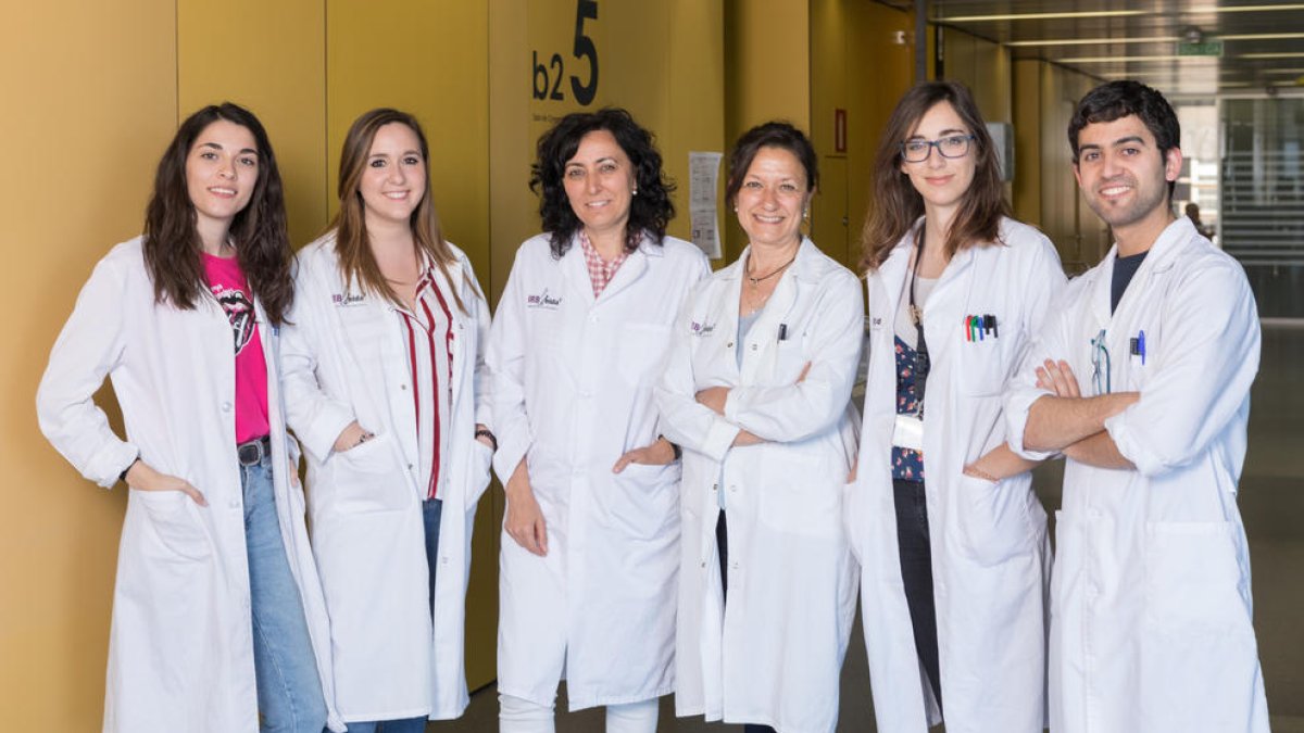 Fotografía del grupo de investigación Unidad de Señalización Neuronal del IRBLleida.