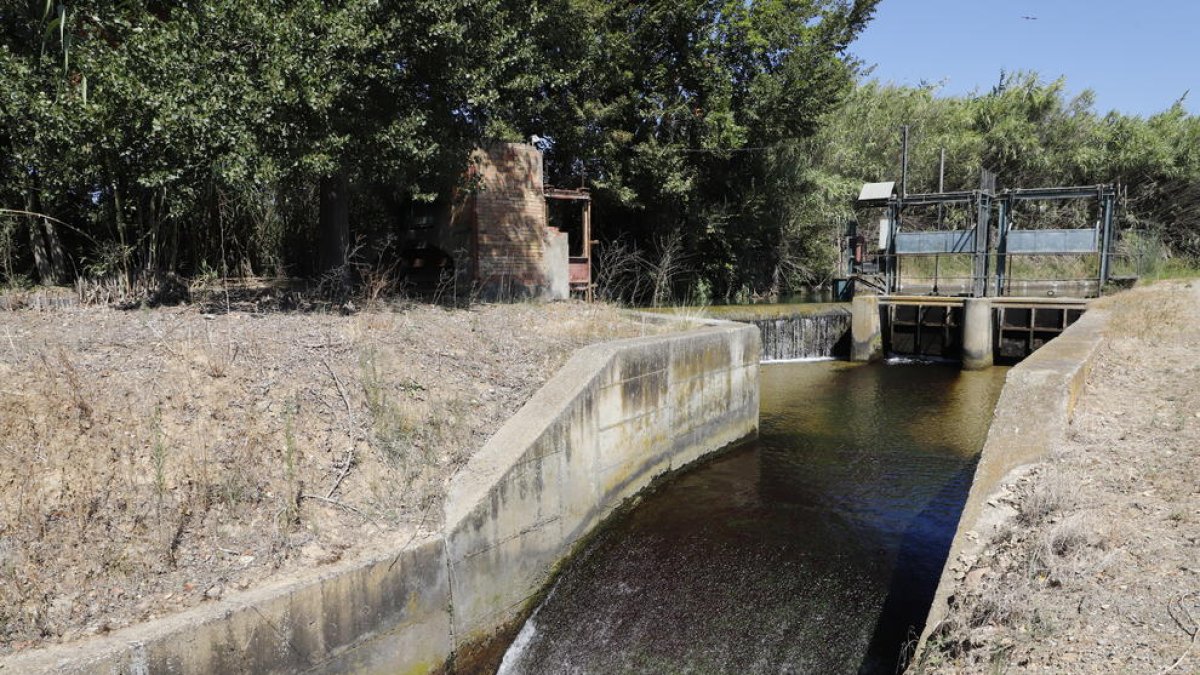Imagen de una de las acequias del Canal de Pinyana.