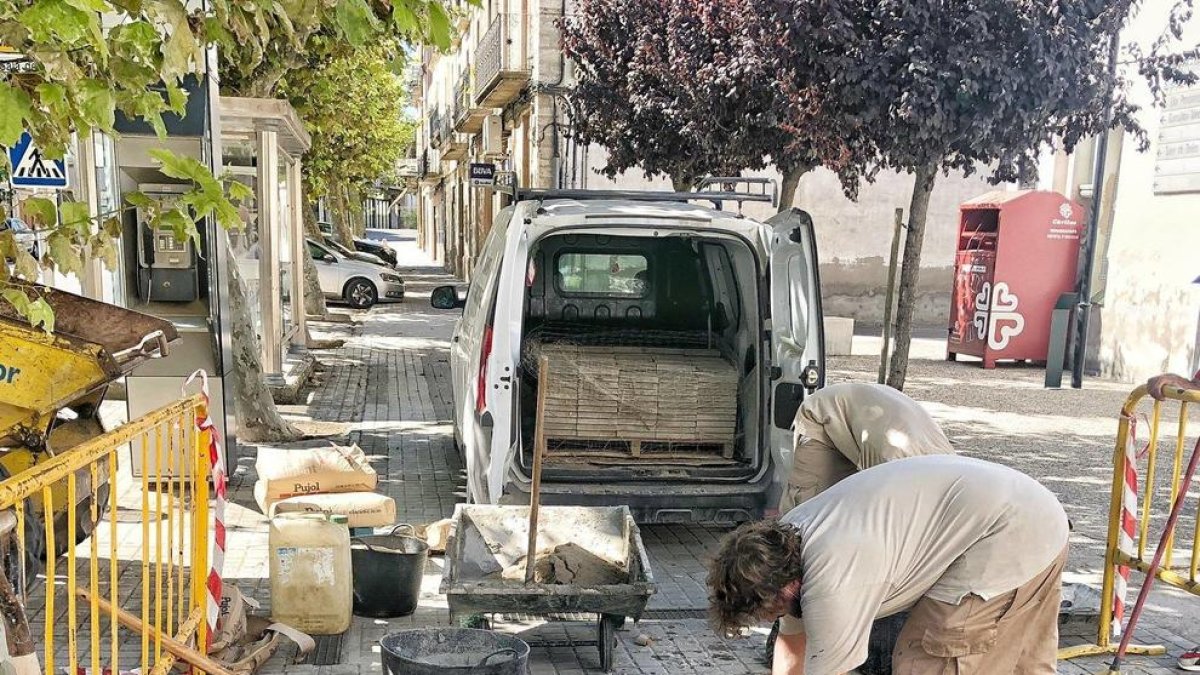 El pavimento estaba dañado por las raíces de los árboles.