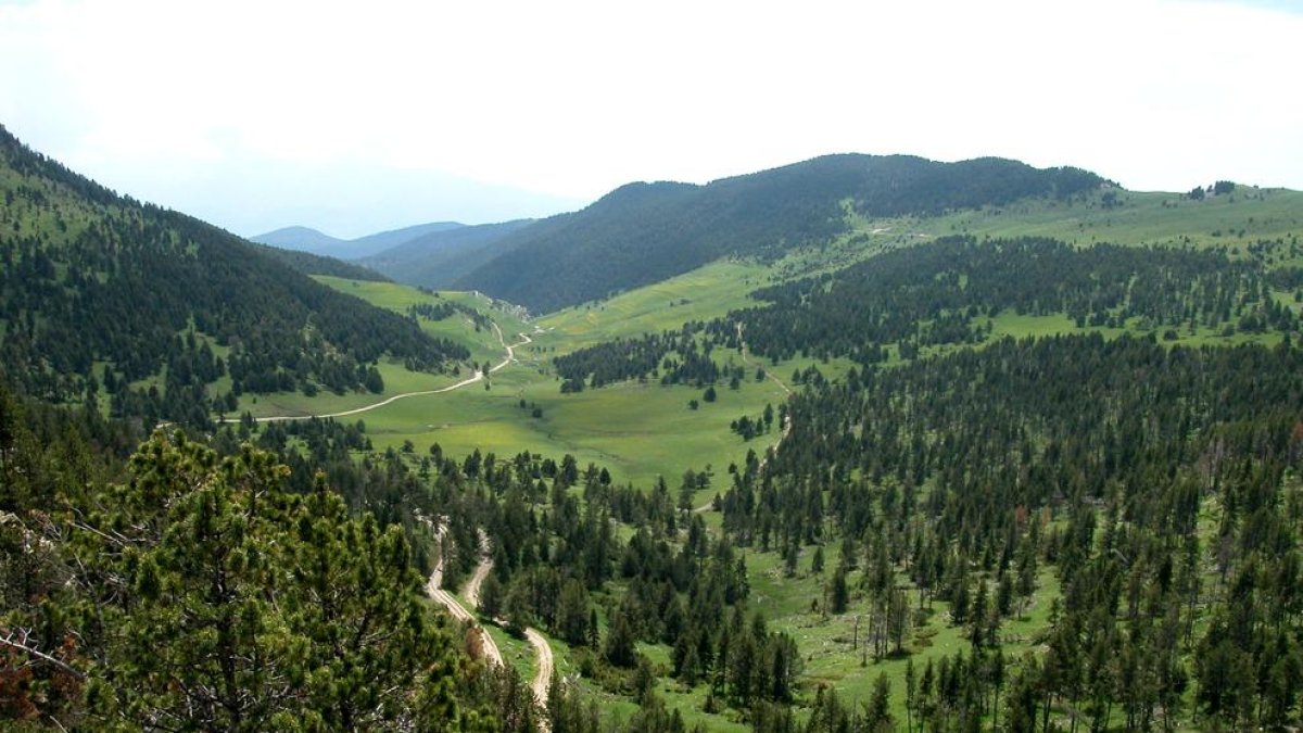 Imatge del Ras de Conques, a les Valls de Valira.