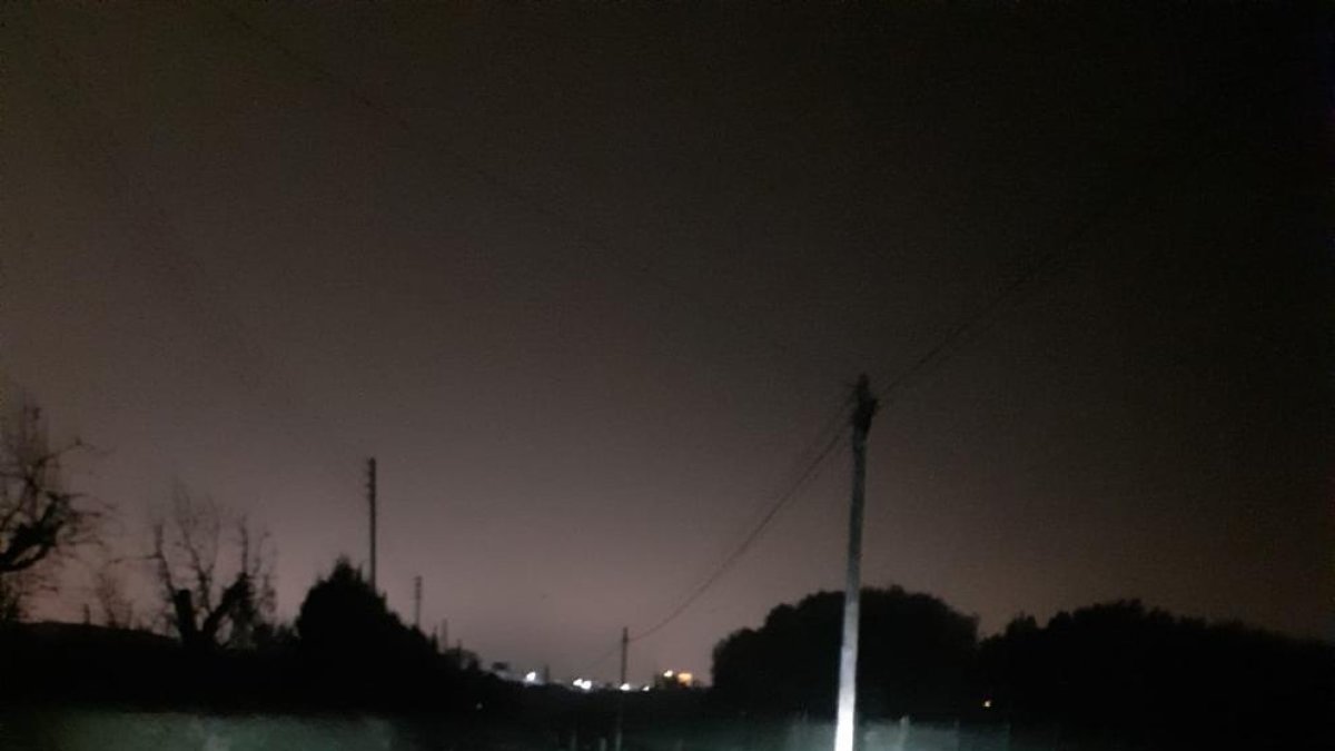 Senglars al Camí de Grenyana.