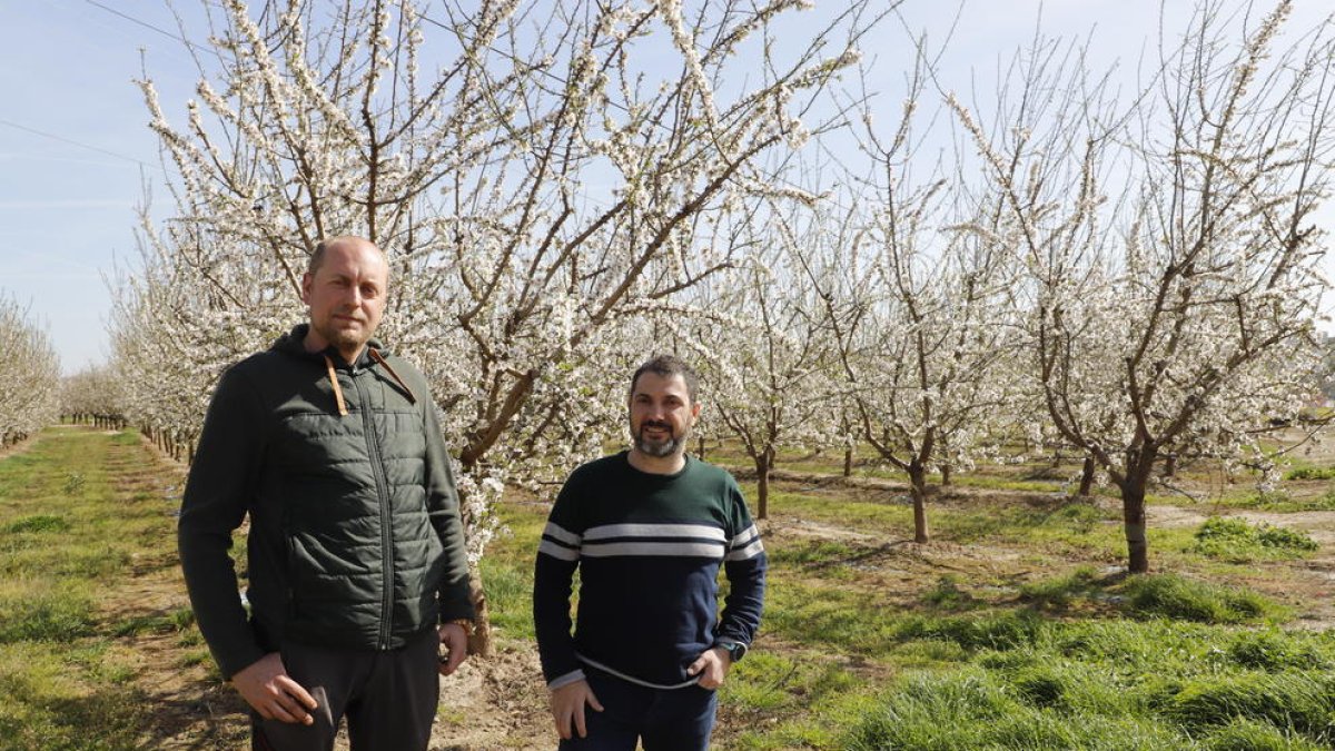 La economía local también florece