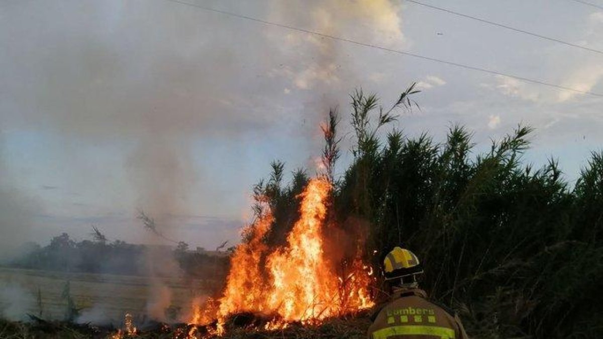 Efectivos de los bomberos actuando en el incendio de Bell-lloc.