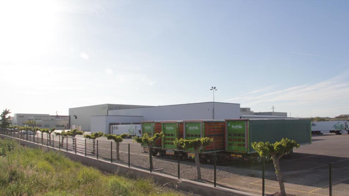 Exterior de las instalaciones del matadero de Avidel, propiedad de Vall Companys, en Alcoletge.