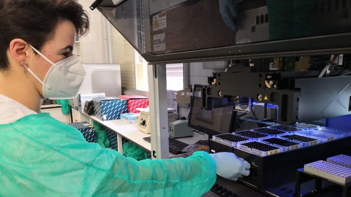 Microbiólogos verificando el proceso de pruebas PCR urgentes.