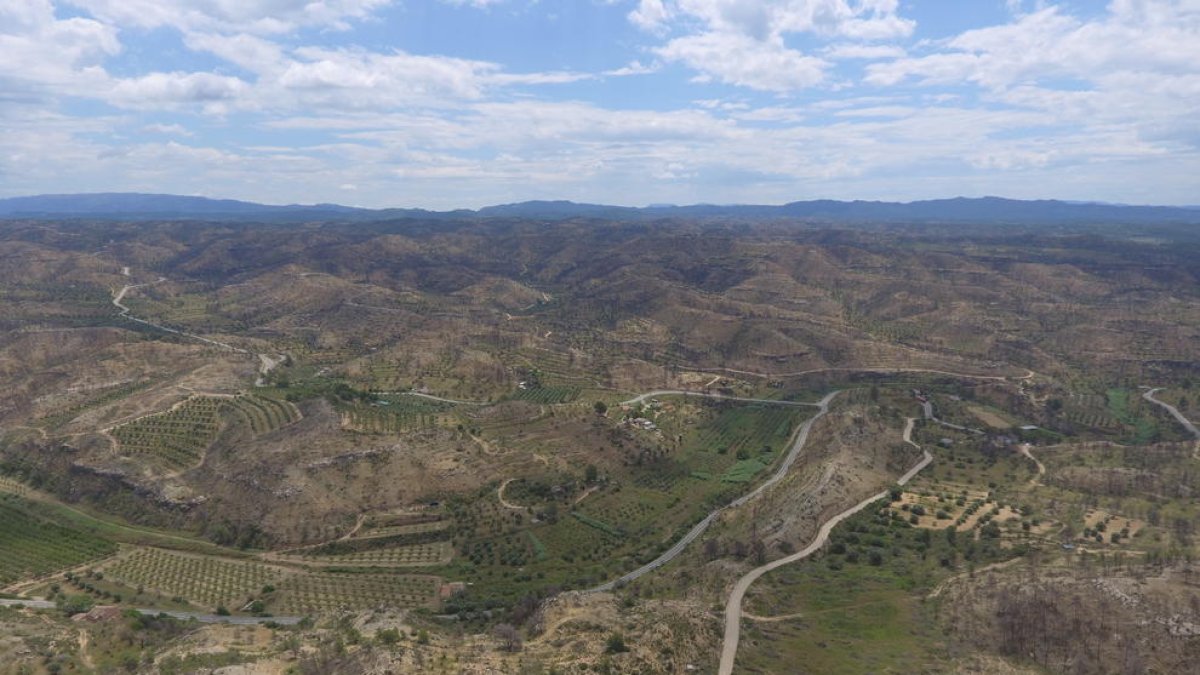 VIDEO La zona quemada por el incendio en la Ribera d'Ebre y Les Garrigues, un año después a vista de dron