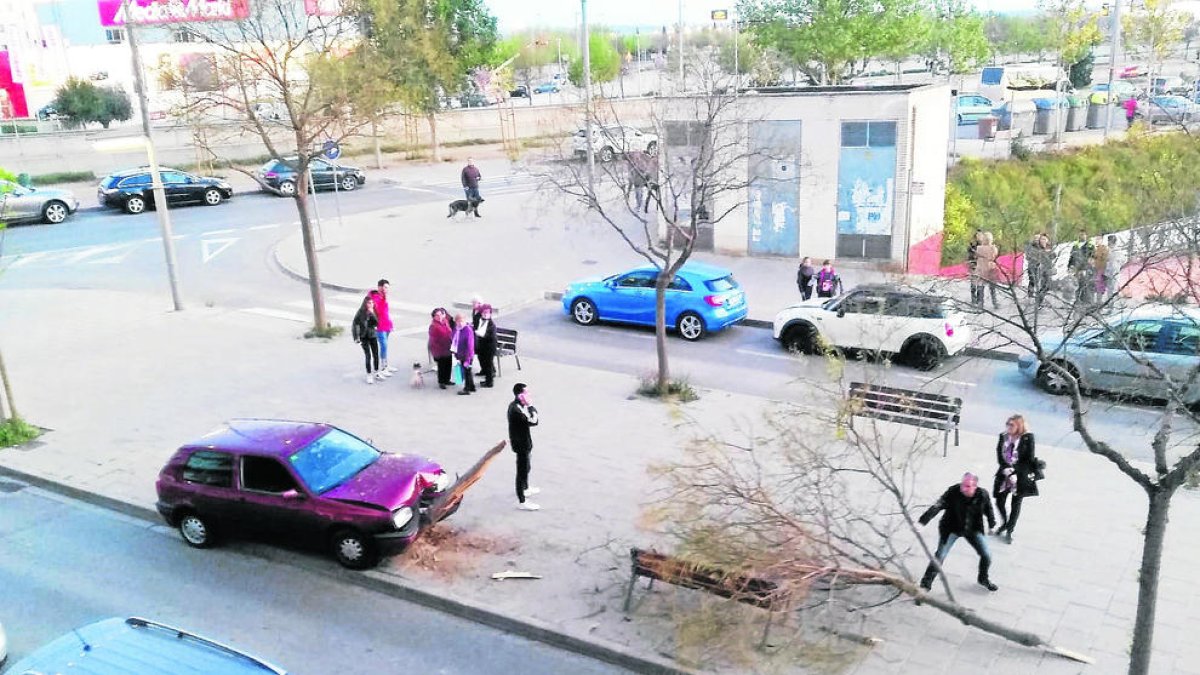 S'encasta contra un arbre a Cappont