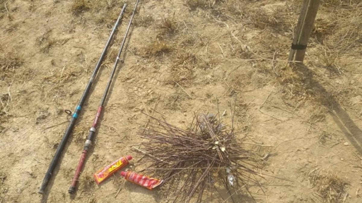 Denunciadas dos personas que cazaban pájaros con pegamento en Corbins