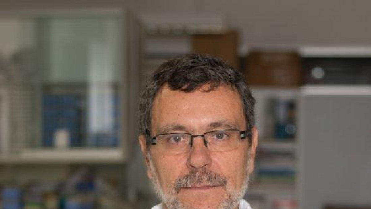 El catedràtic de Medicina de la UdL i investigador de l’IRBLleida Xavier Matias-Guiu.