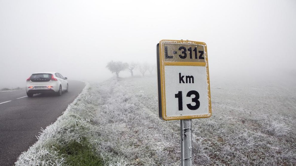 Humitat i fred van convertir el paisatge d’aquesta zona de la Segarra en una gran estampa blanca.
