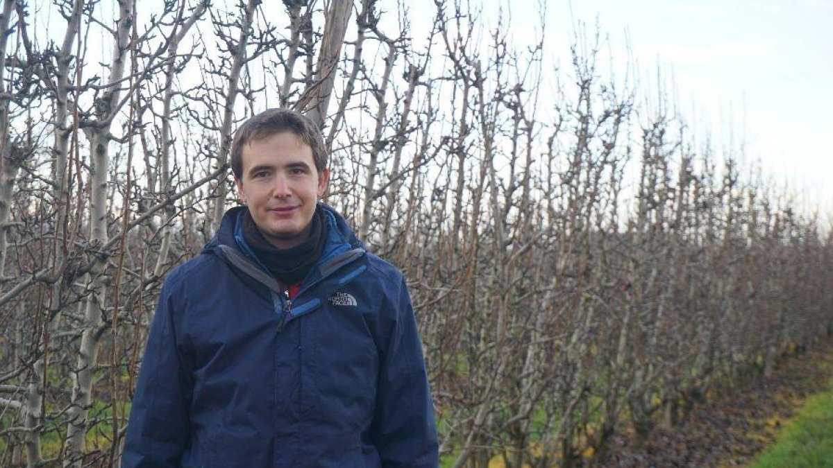 El responsable del sector de la fruta de UP, Bernat Ramon.