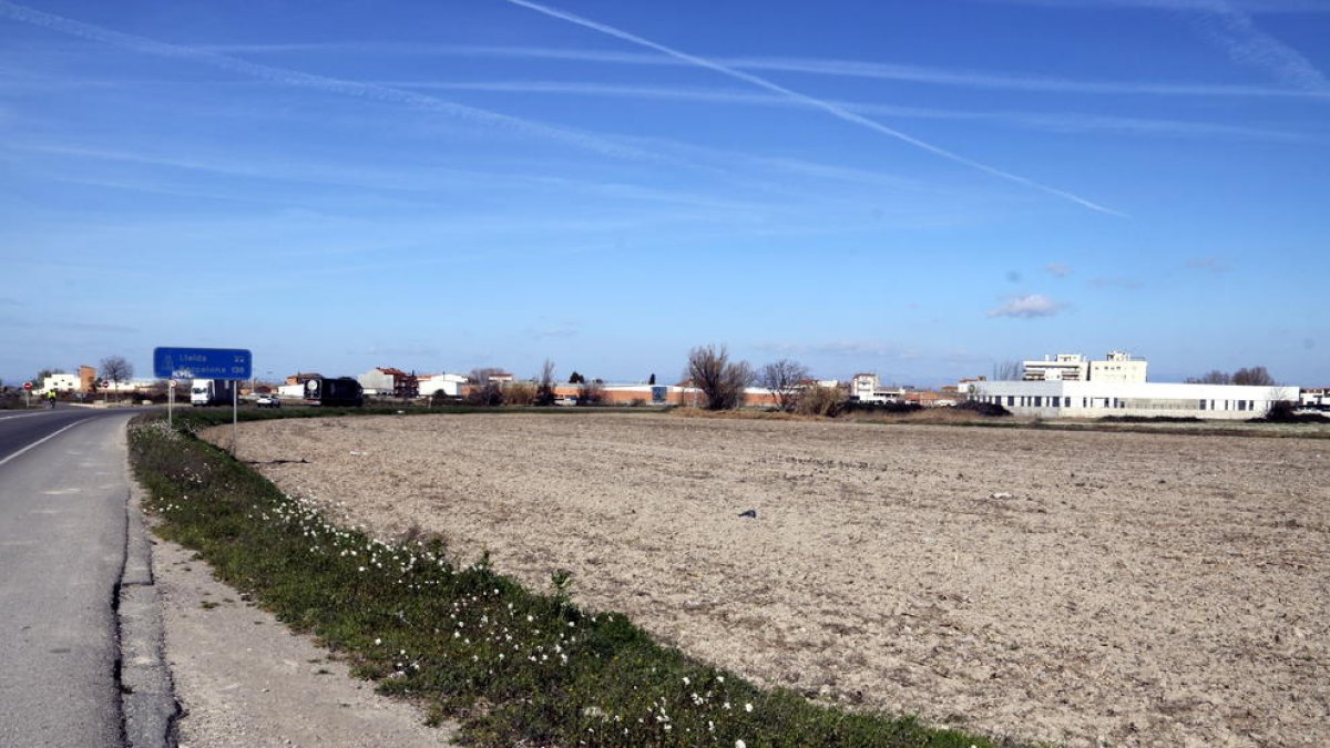 Els terrenys on s’ubicarà el nou polígon industrial.