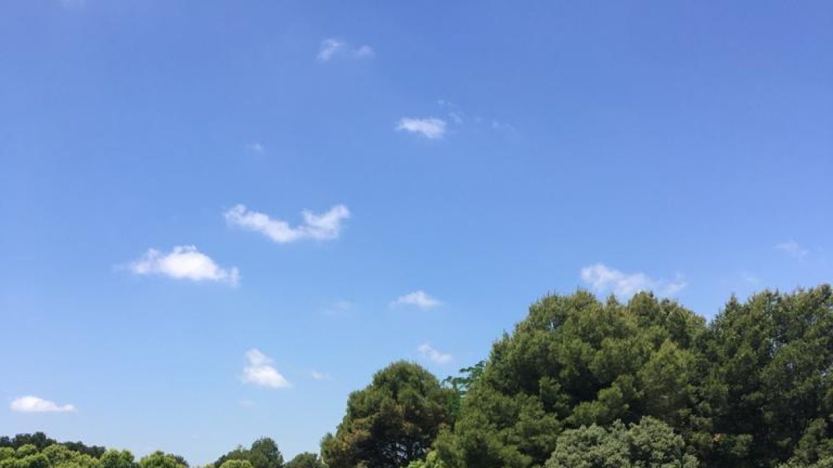 De izquierda a derecha, Núria Llobet, Albert Duart, Toni Farreras, Ares Boira y Xus Boira.