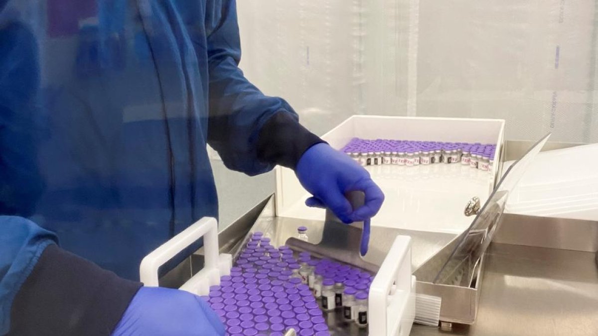 El Regne Unit vacunarà primer sanitaris i grups vulnerables.