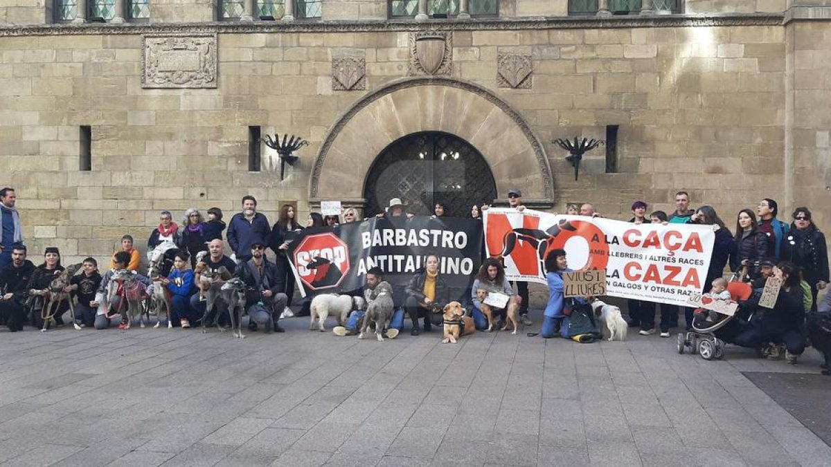 Mobilització a Lleida per evitar que dinou gats es quedin sense casa
