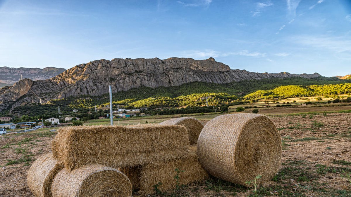El tractor de palla als afores d’Oliana construït per l’agricultor Domènec Estany.