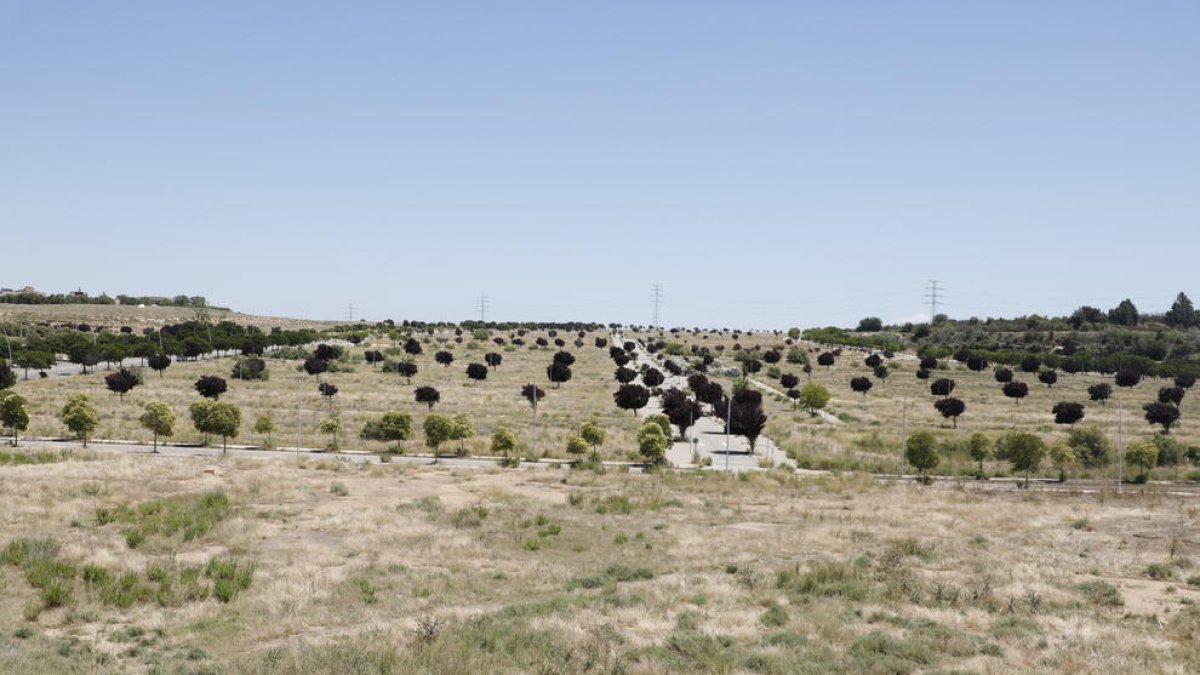 Vista de Torre Salses, zona que es va reurbanitzar fa gairebé quinze anys.