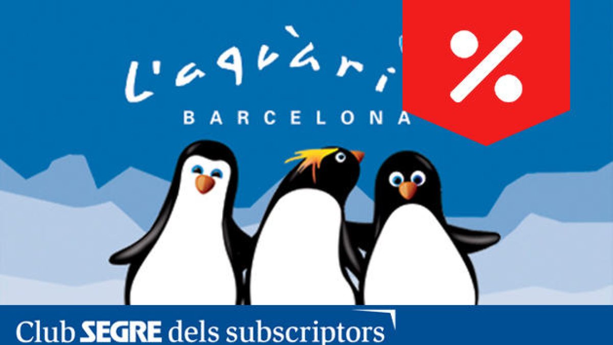 Pingüins