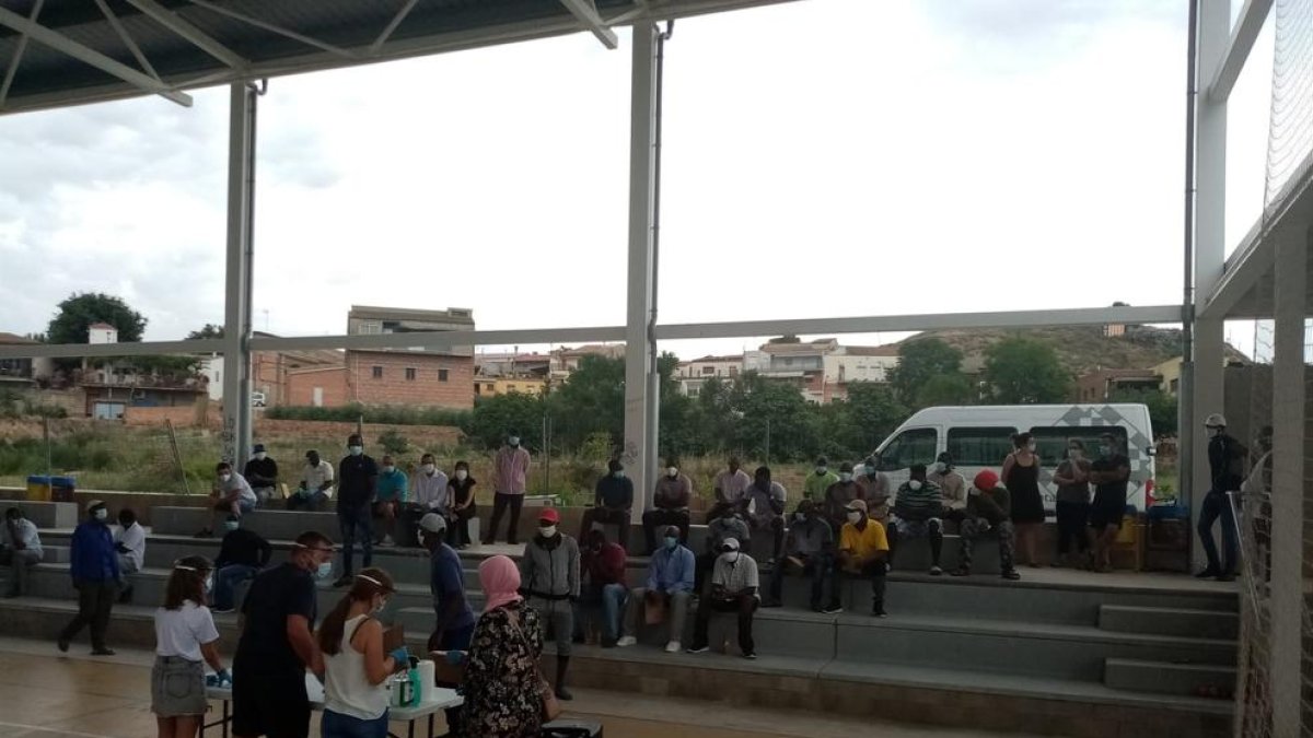 Els primers treballadors de la fruita que van arribar a Albesa i que van ser atesos pel consell.