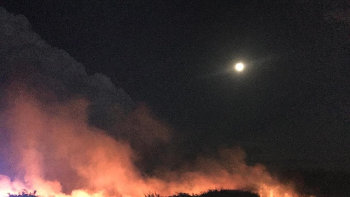Vista de l’incendi dijous a la partida Pardinyes Altes.