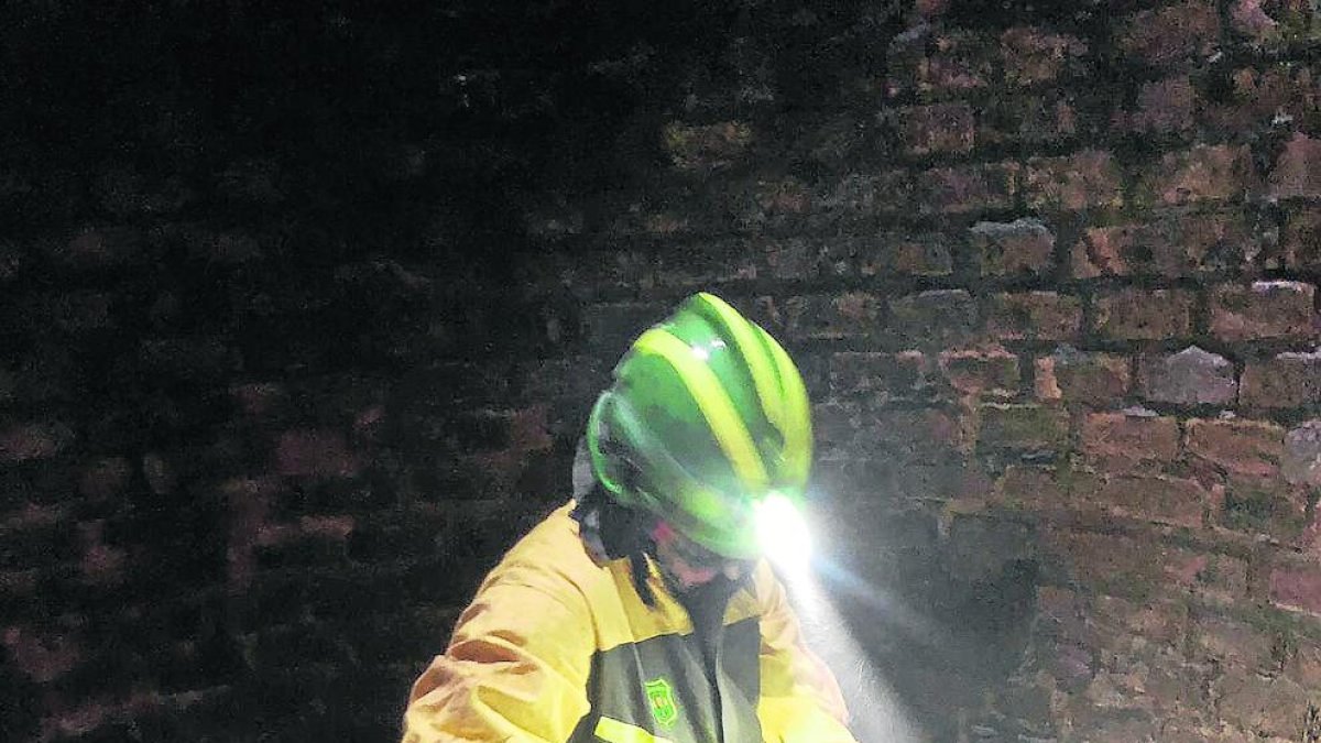 Un agente rural con una cigüeña en el interior de la chimenea.
