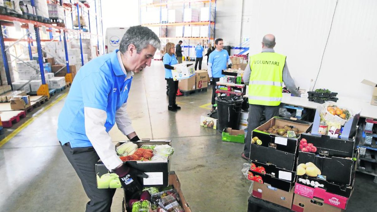 Voluntarios trabajaban ayer codo con codo clasificando los alimentos del Banc dels Aliments de Lleida.