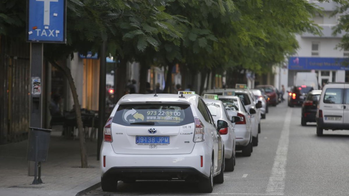 Una fila de taxis, a la parada de l’avinguda Blondel.