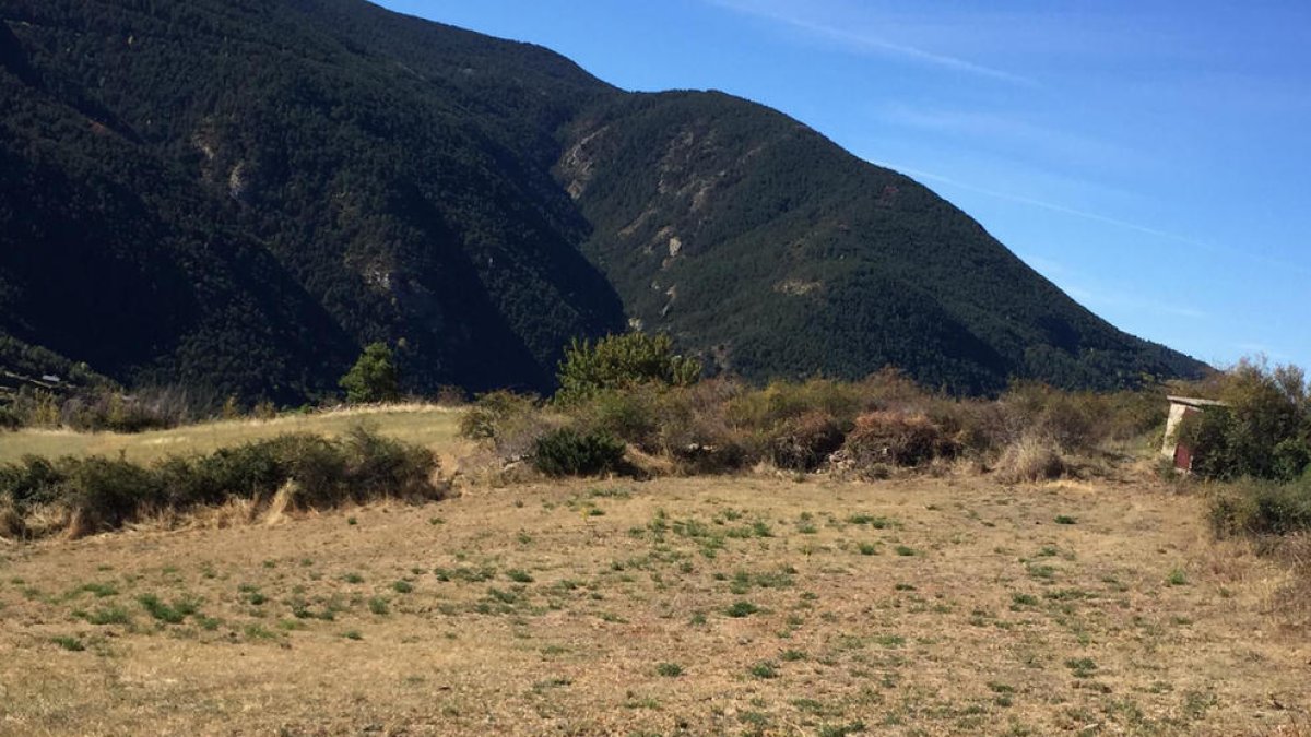 Imatge d’una zona del Pirineu afectada per la sequera.