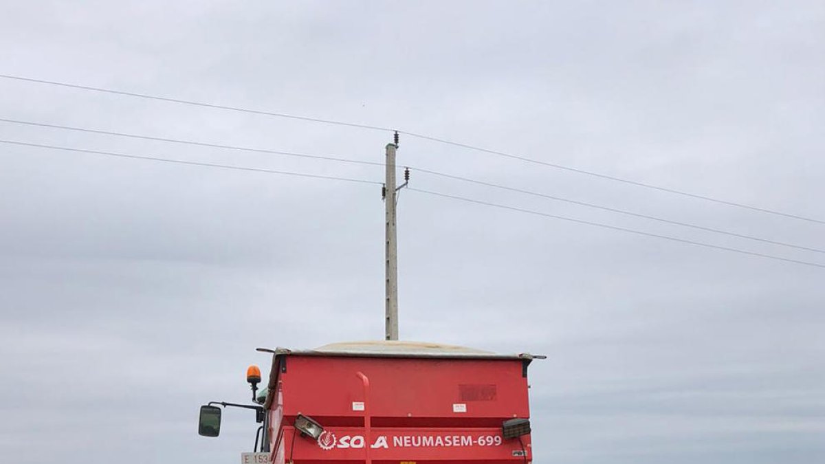 Labores de siembra estos días en una finca en condiciones para ello.