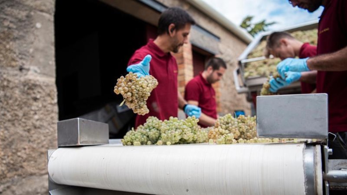 El Castell del Remei, en La 2