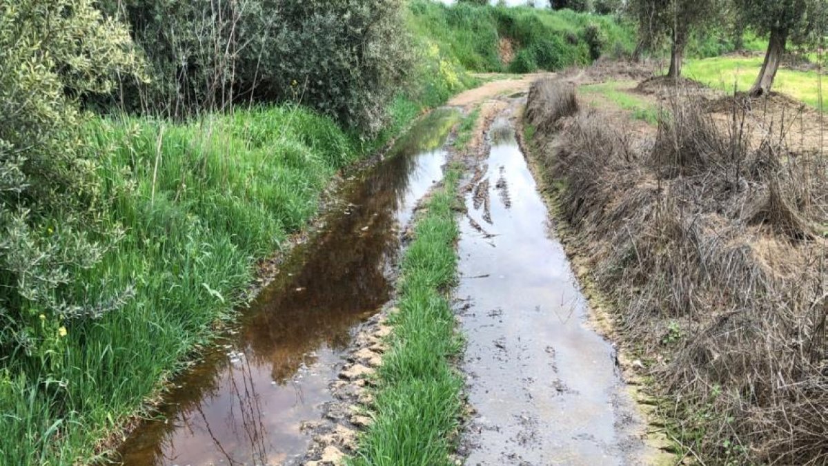 L’abocament ha anat a parar a un camí, segons Ipcena.