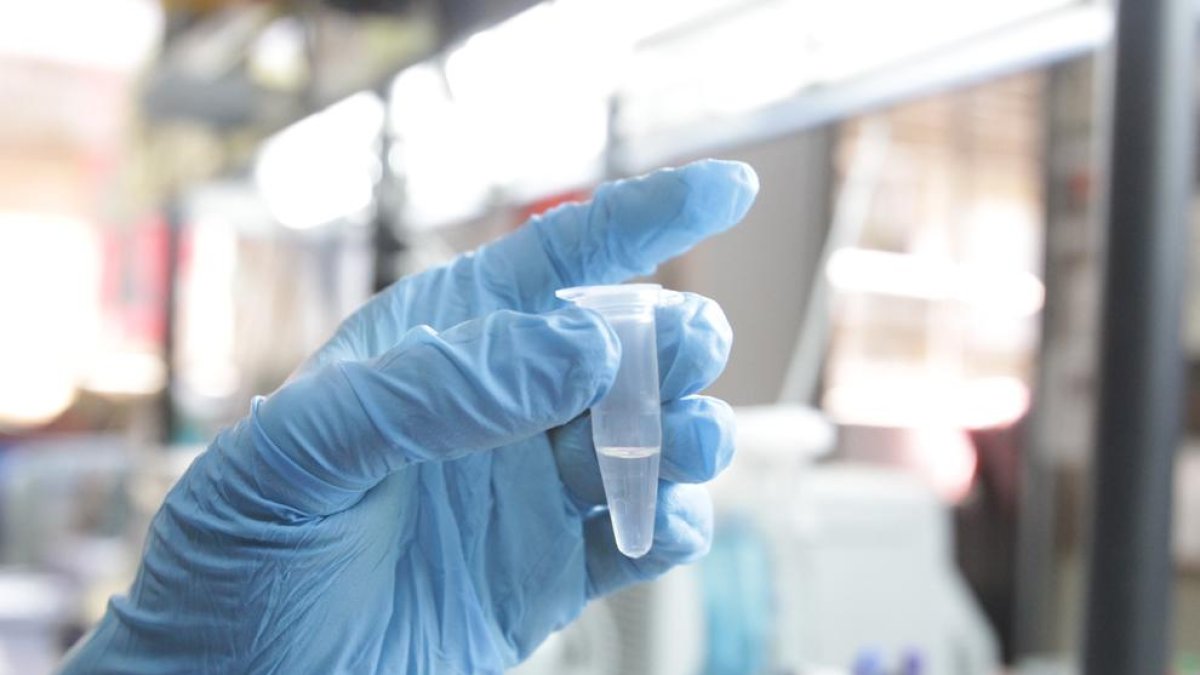 Descubren un gen que potencia el cáncer de pulmón más frecuente en España