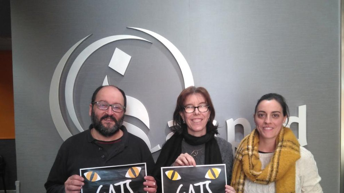 ‘Gats’ tendrá lugar mañana en el Escorxador y recaudará fondos para el centro de día de Aspid.