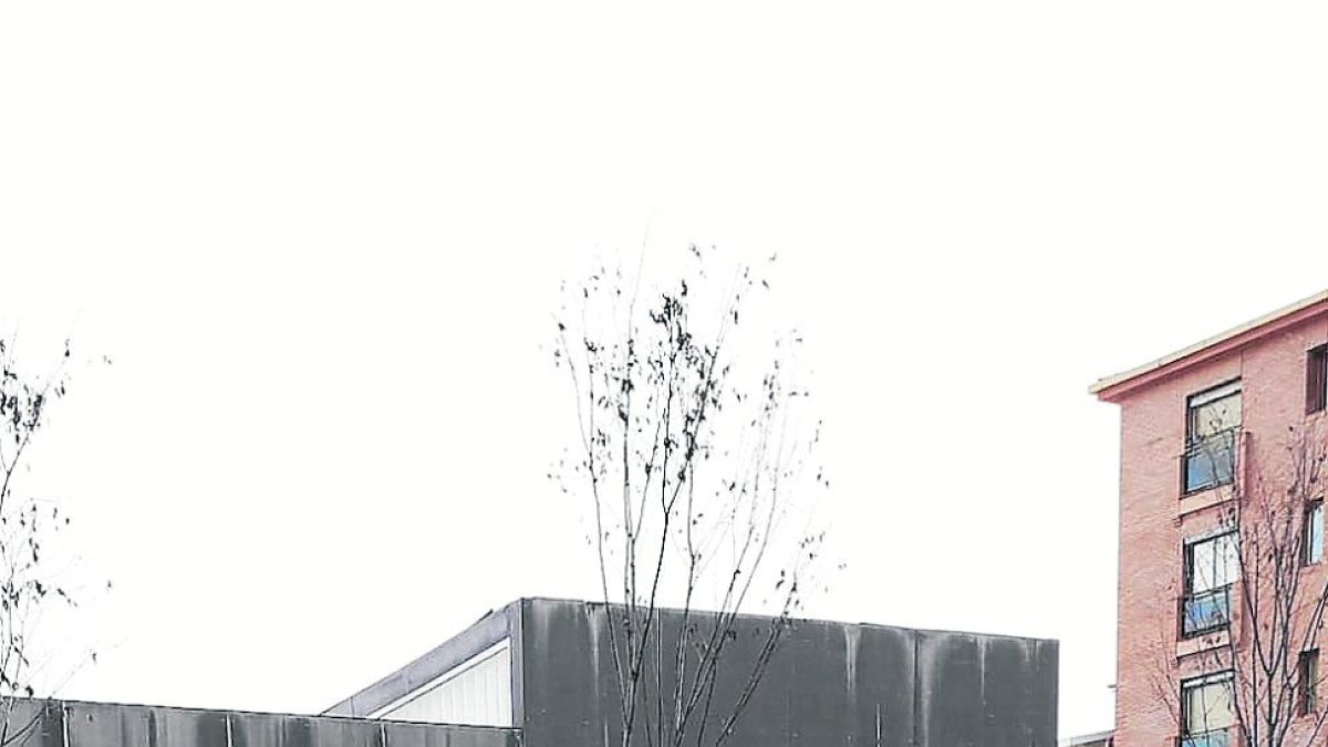 Un cotxe patrulla es va emportar l’arrestat a comissaria.