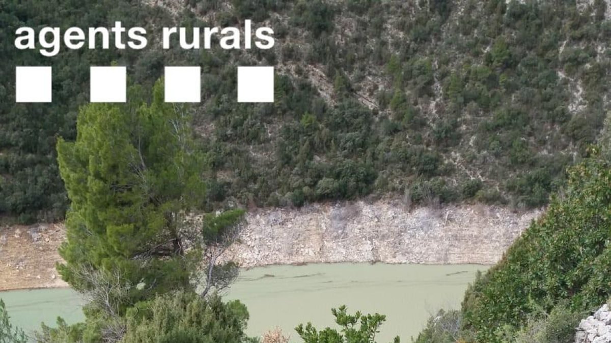 Imagen del alud de enero en el congosto de Mont-rebei.