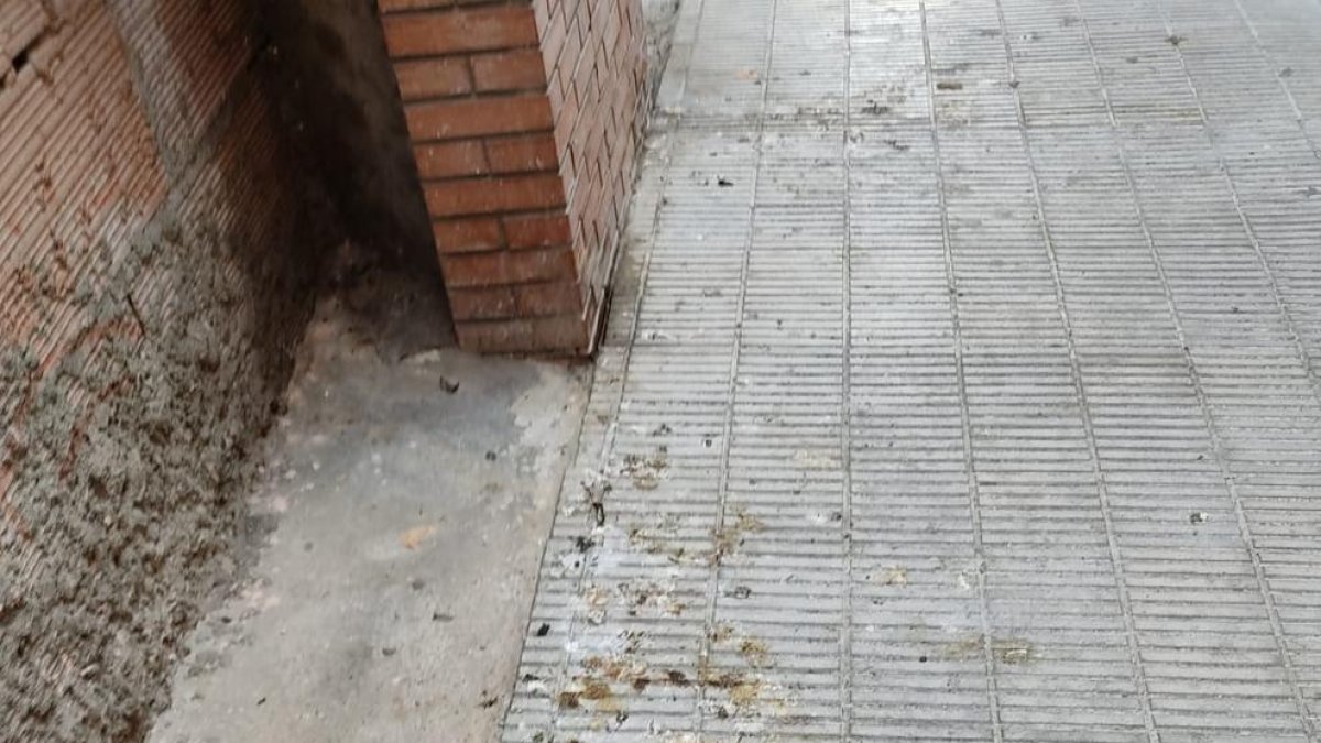 Imatge dels excrements.