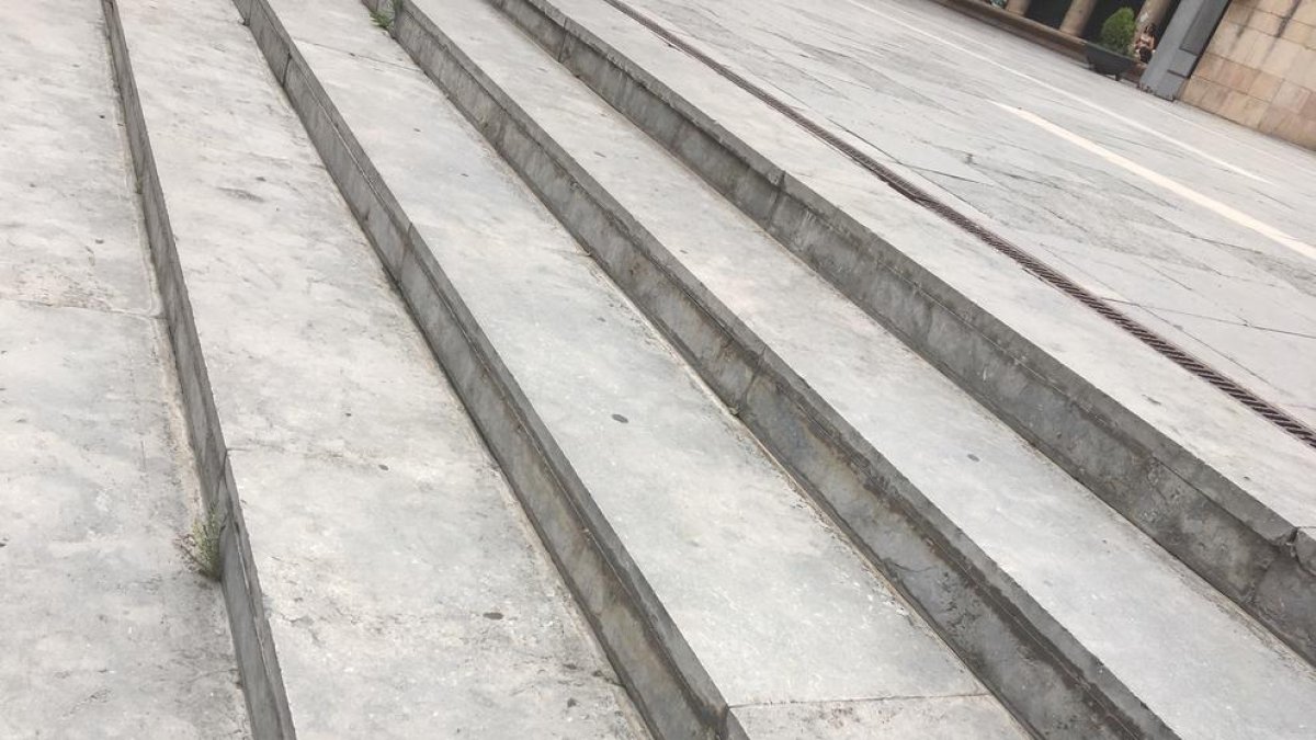 estudi sobre el terreny