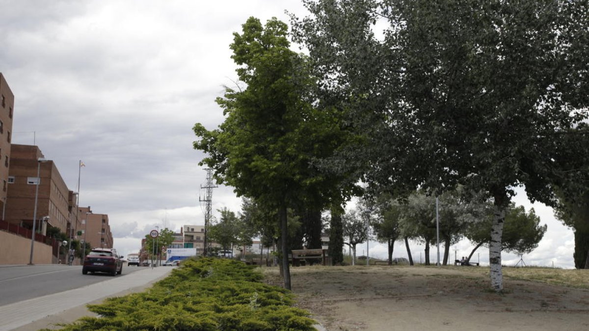 L’agressió va tenir lloc dimecres al Secà.