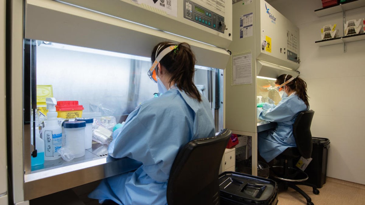 Quatre casos més de coronavirus a Catalunya