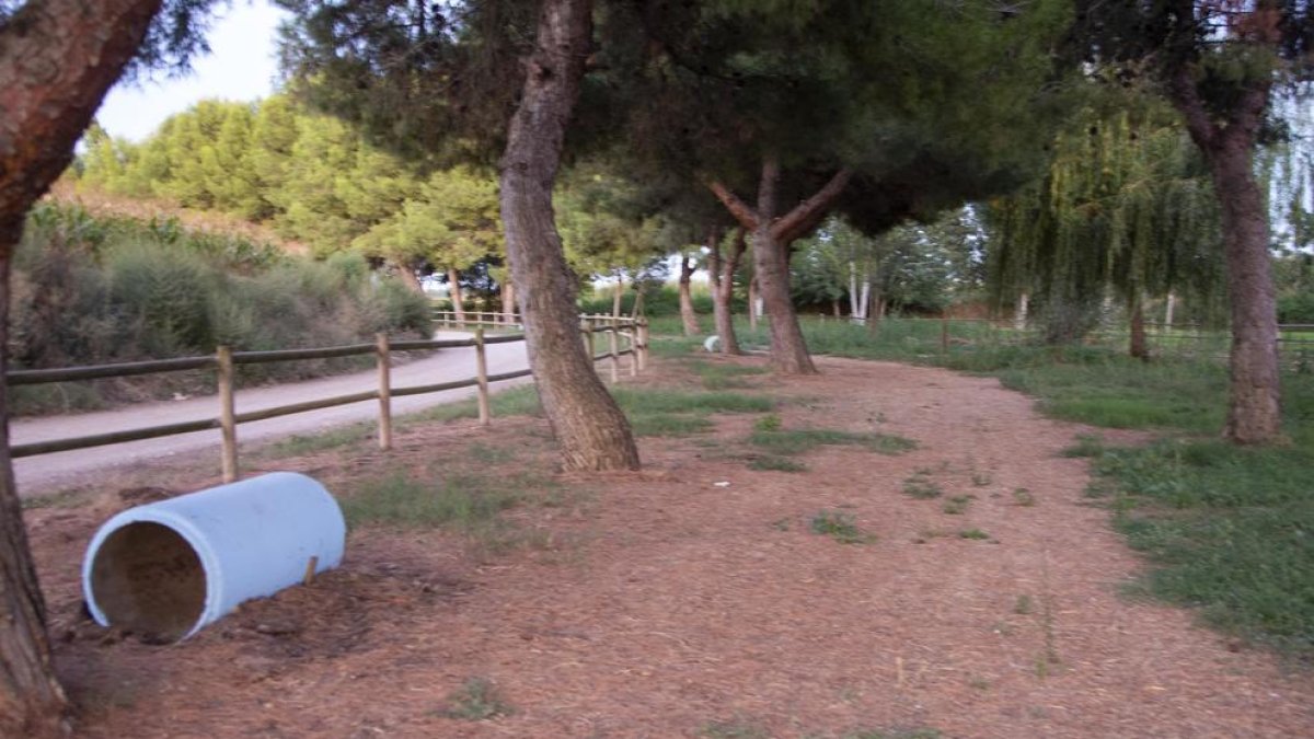 El paseo del Parc del Reguer ya luce recuperado.