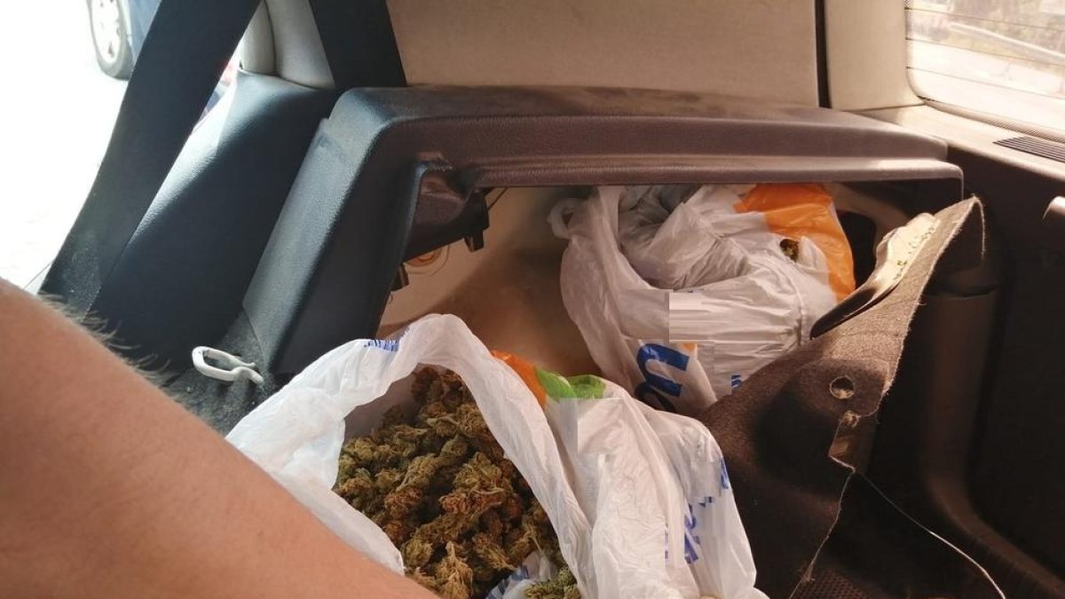 La marihuana localizada en el interior del vehículo.