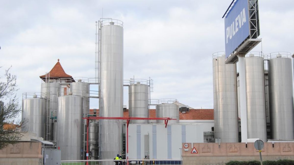 La planta lleidatana de Lactalis es troba a Mollerussa.