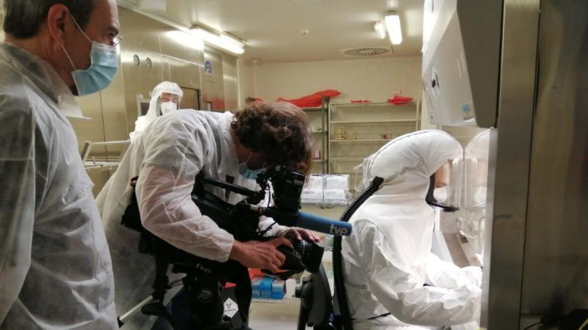 Els virus ocupen 'Crónicas'